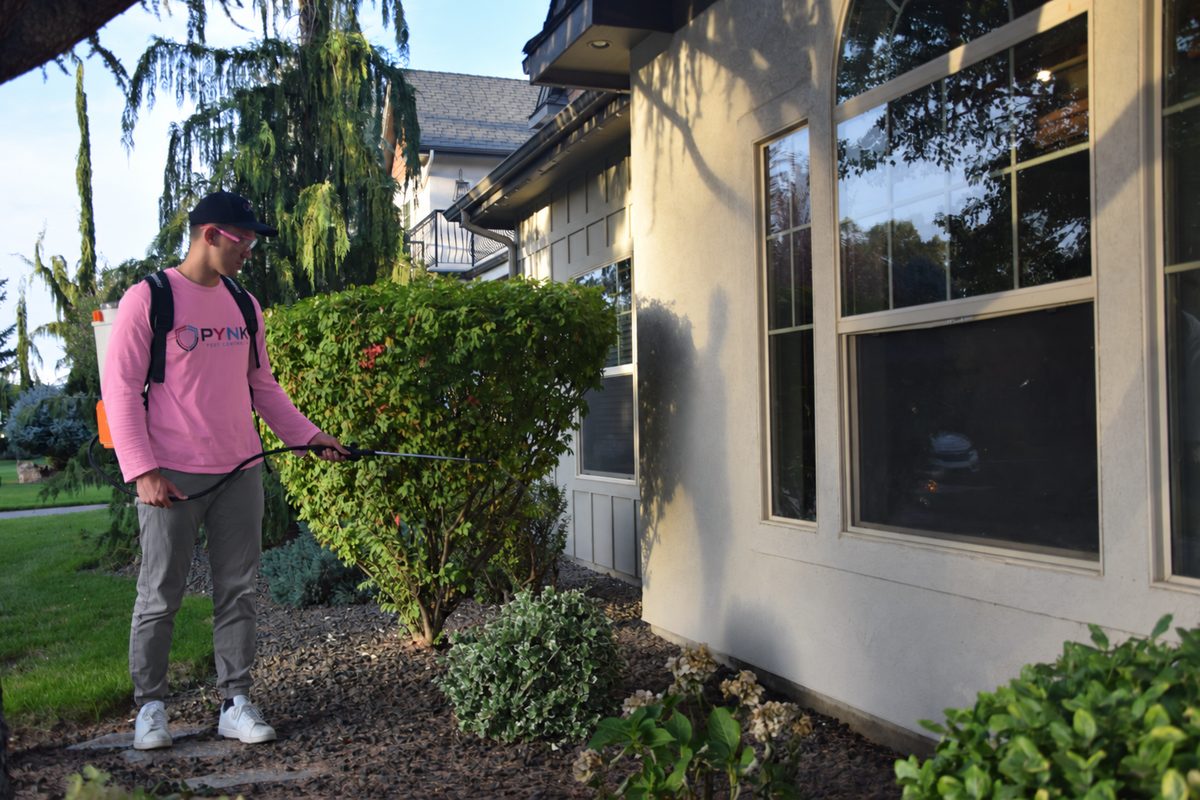Technician in a pink Pynk shirt using a hand sprayer beside a shrub along a house wall